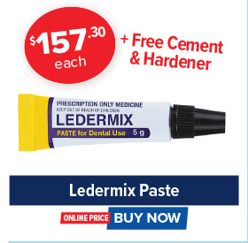 Ledermix Paste