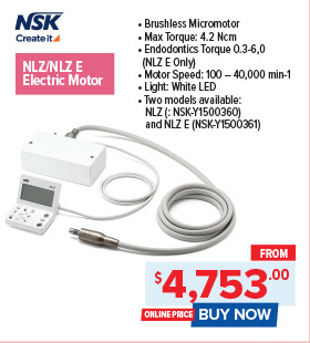 NSK NLZ/NLZ E Electric Motor